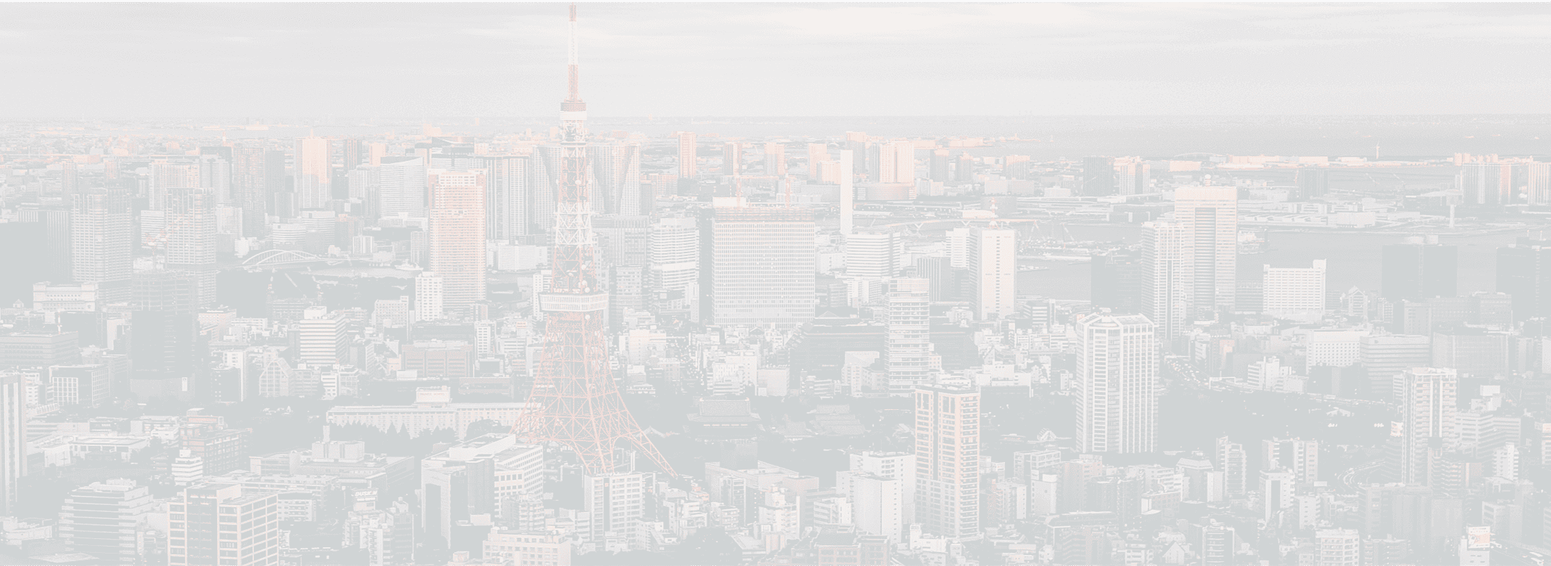 团队简介背景