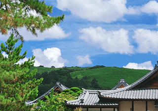 空气质量好